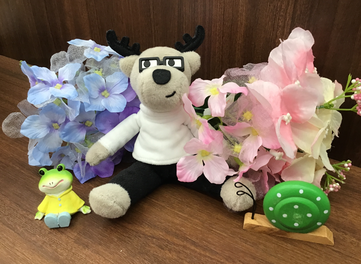 💙おすすめ中古車💙